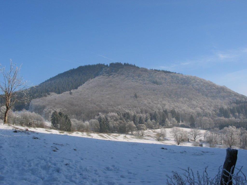 Landhotel Grimmeblick Winterberg Kültér fotó